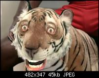 Нажмите на изображение для увеличения
Название: тигр смеетсца.jpg
Просмотров: 0
Размер:	44.9 Кб
ID:	61334